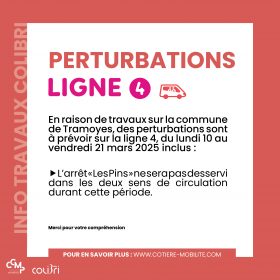 2025_02_POST_FB_Travaux Tramoyes ligne 4