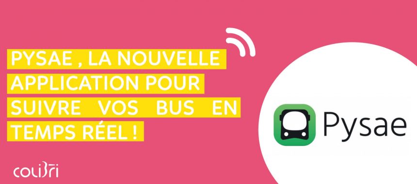 2025_01_Bannière PYSAE