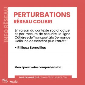 2026_10_POST_1080x1080_COLIBRI non desservi Rillieux – manif